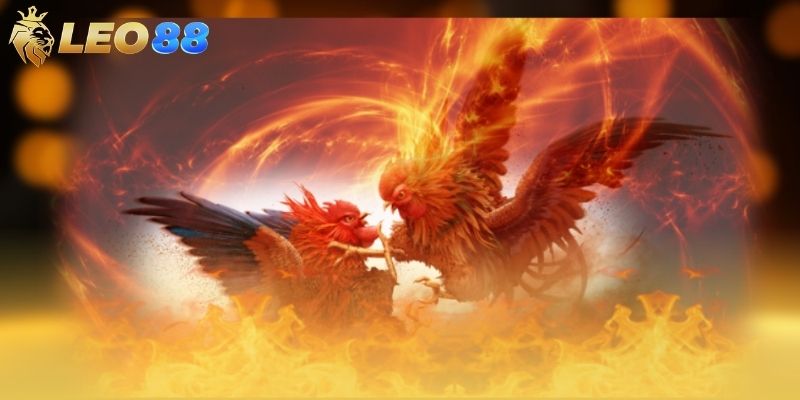 Người chơi nên theo dõi diễn biến của từng trận đấu